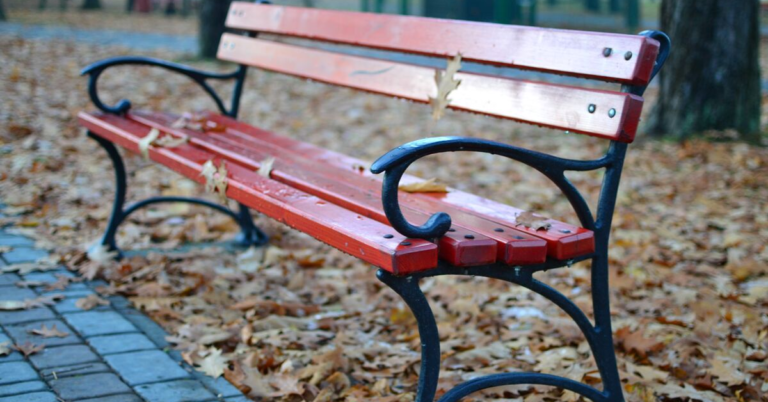 valuing the journey - red bench amongst the leaves