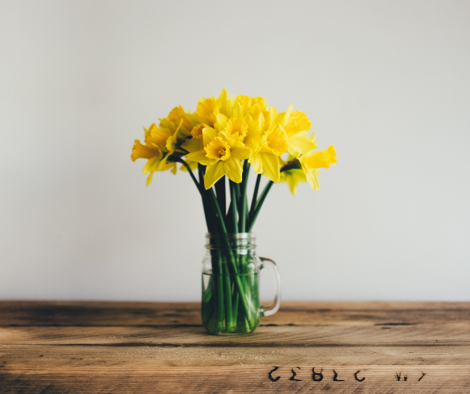 yellow daffodils on table - community- welcome