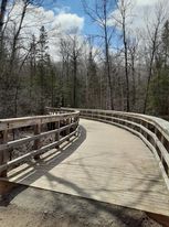 bridge in the woods